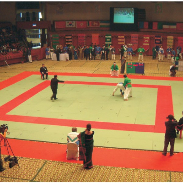 STAG Judo Mat International JSR Slip Resistant Bottom 2M X 1M X 30mm